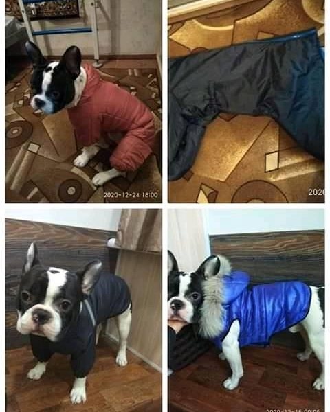 Одежда для животных: жилетки, курточки, комбенизоны, дождевики