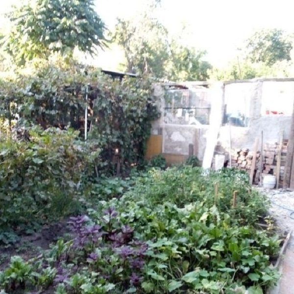 Продам 3-комнатную квартиру, ул. Ген. Швыгина/Новаторов, 1/2, 52 кв.м.
