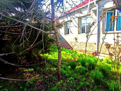 Очень классный дом в тихом месте
