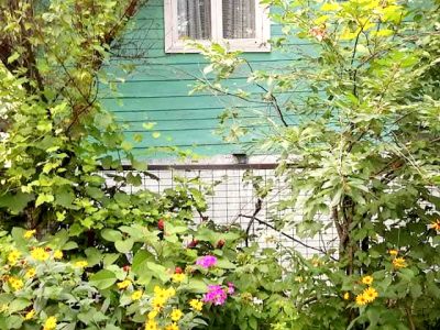 Без комисії для покупця продаєтся ділянка 8 соток.на Осокорках 3 км.від м.Славутич. 8000000000:90:614:0009. Одна зупинка до Білой Дачі. 112 ліния.