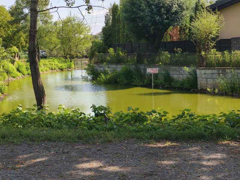 Без комисії для покупця продаєтся ділянка 8 соток.на Осокорках 3 км.від м.Славутич. 8000000000:90:614:0009. Одна зупинка до Білой Дачі. 112 ліния.