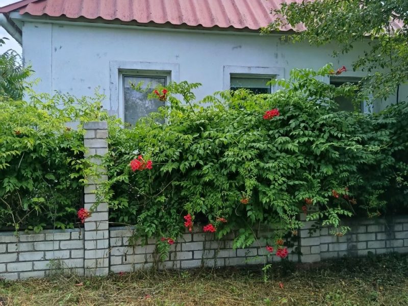 Продається будинок з двома гаражами у м. Дергачі. Харківська область
